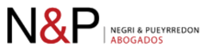 Negri & Pueyrredon (N&P)