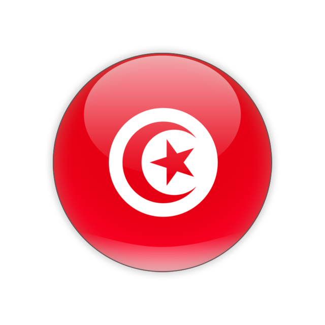 Tunisian Flag Button Icon